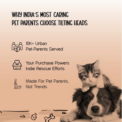 WobbleWhisk Treat Dispenser | Interactive Treat Wobble | Smart Play for Cats