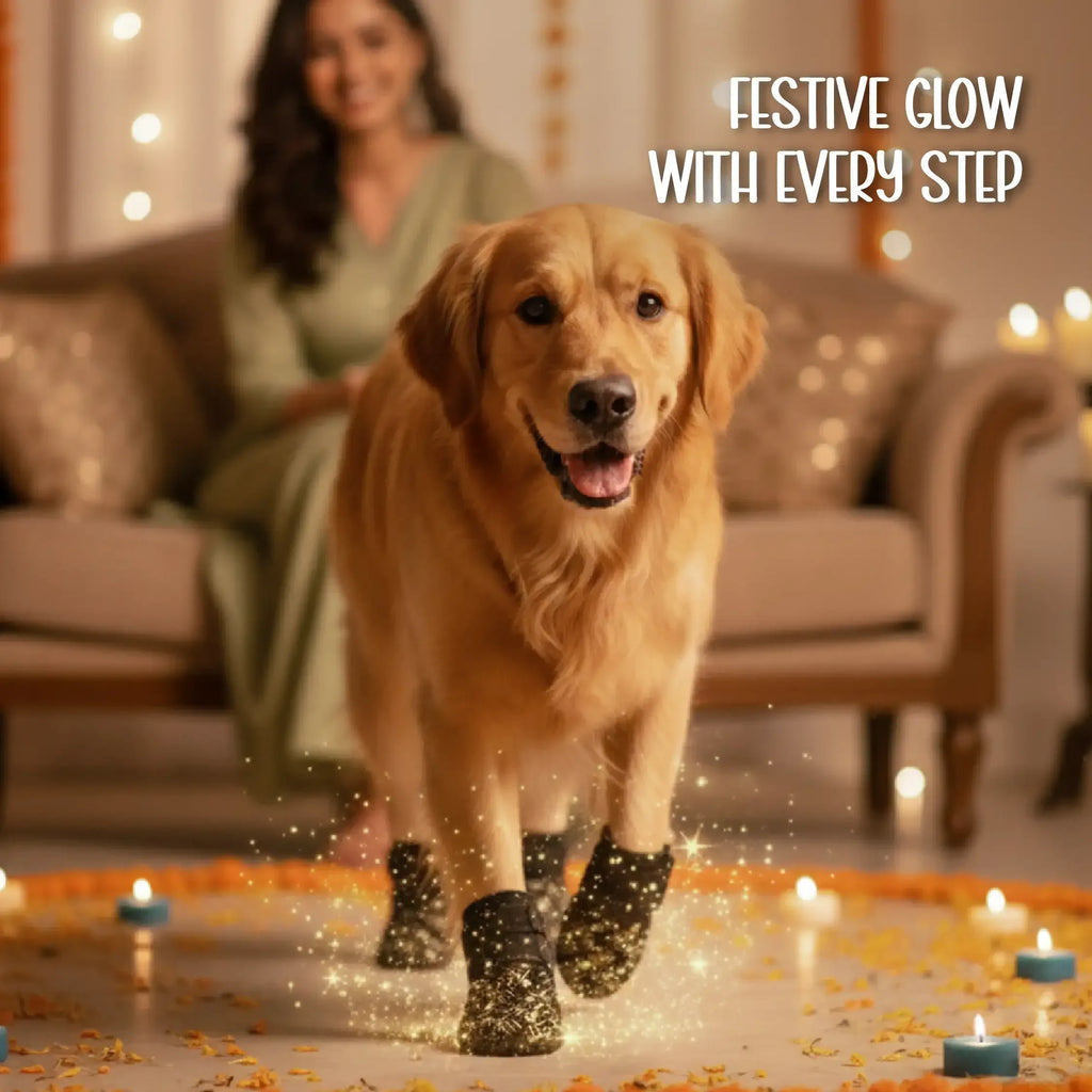 Zari Boots – Festive Style | Cushioned Comfort | Double Velcro Fit - Tilting Heads