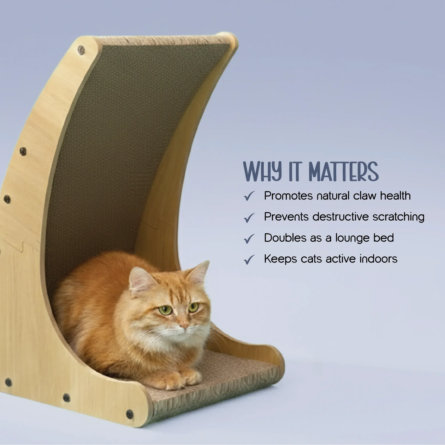 Zen Curve Scratcher – Multifunction Wooden Cat Scratch & Lounge