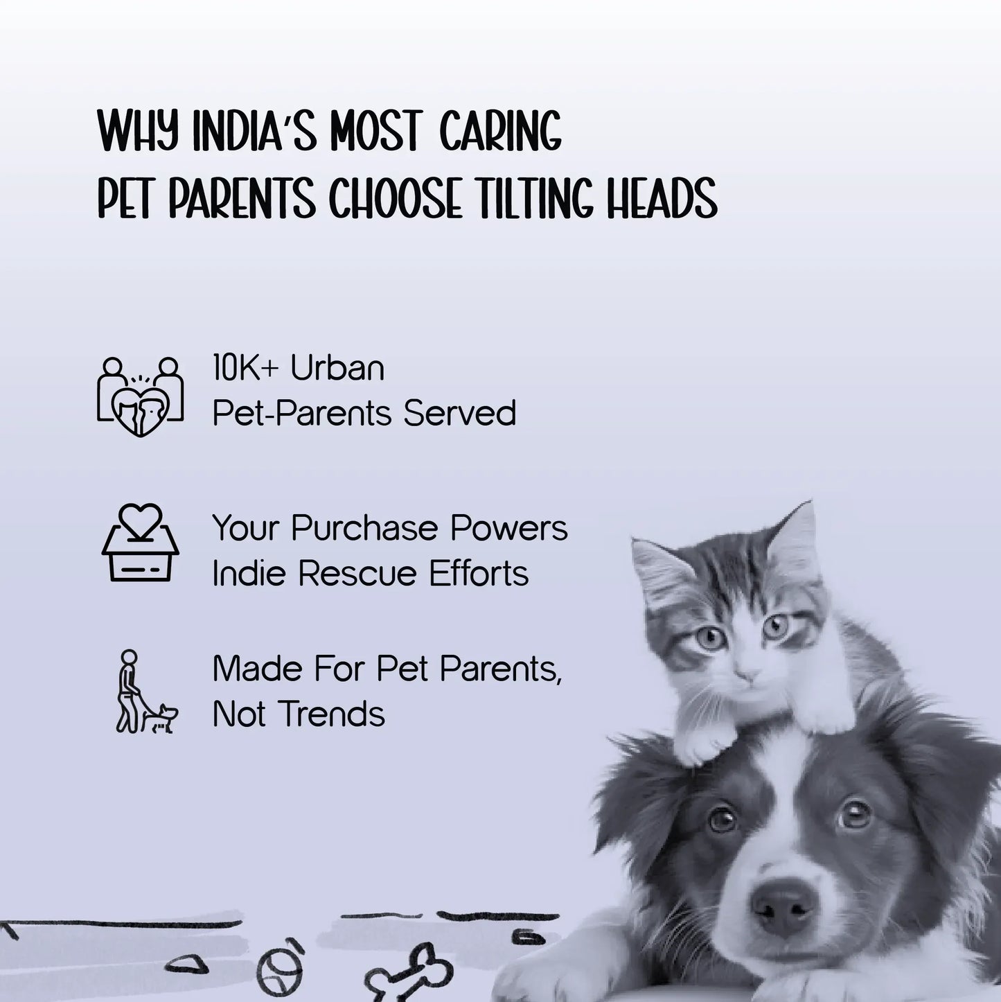 Zen Curve Scratcher – Multifunction Wooden Cat Scratch & Lounge