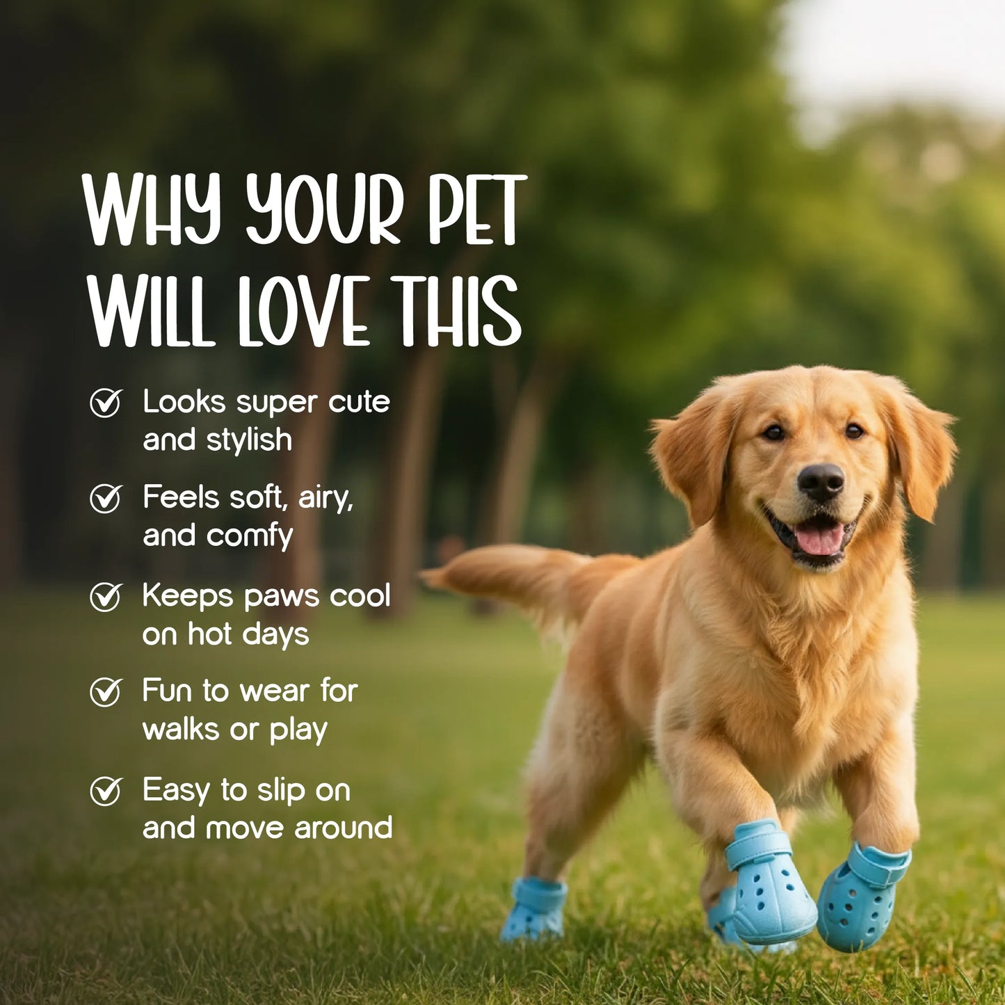 ZeviKix | Breathable Pawwear for Cool, Comfy Walks