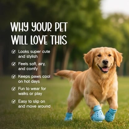 ZeviKix | Breathable Pawwear for Cool, Comfy Walks