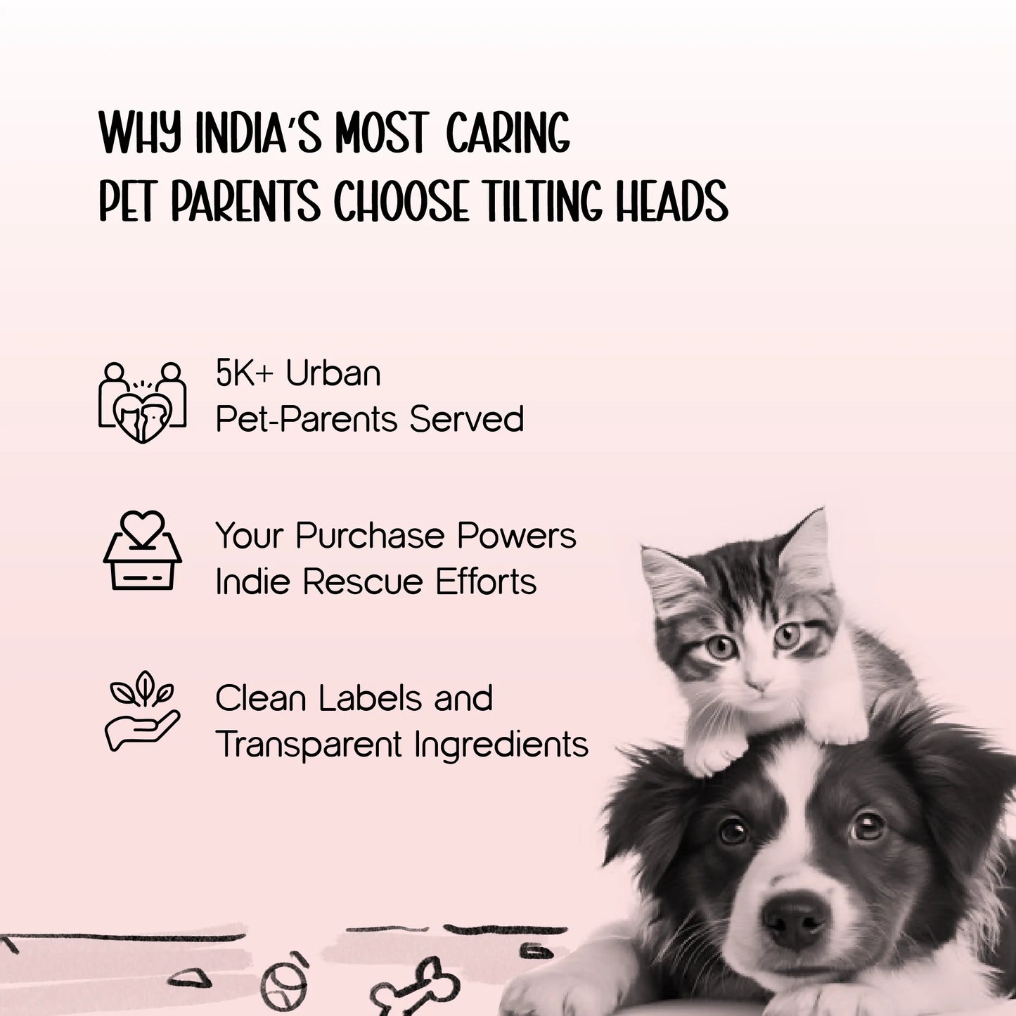 ZeviKix | Breathable Pawwear for Cool, Comfy Walks