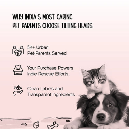 ZeviKix | Breathable Pawwear for Cool, Comfy Walks