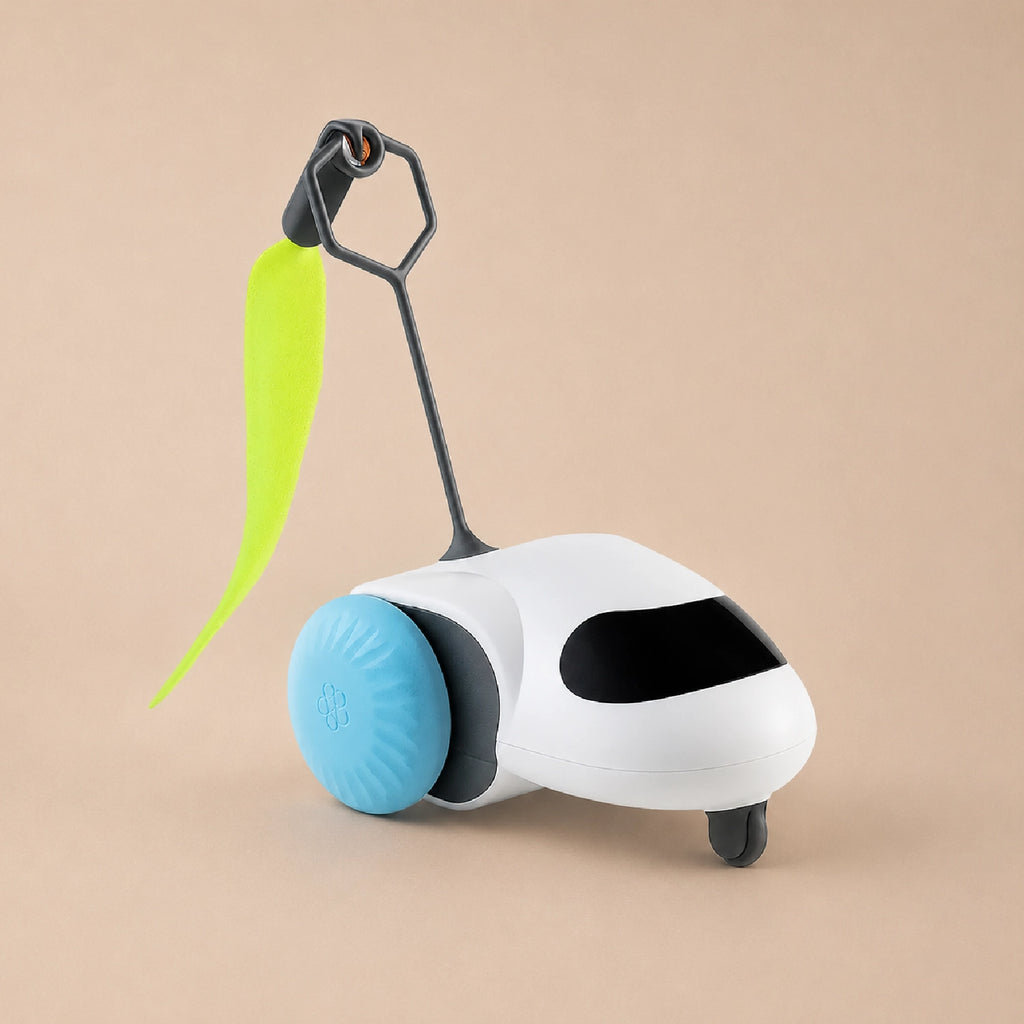 ZoomiChase Toy – Smart Motion Chase Toy for Curious, Active Pets