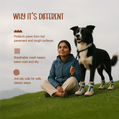 Zoomie Boots – Secure Fit with Zipper & Strap | All-Terrain Paw Safety