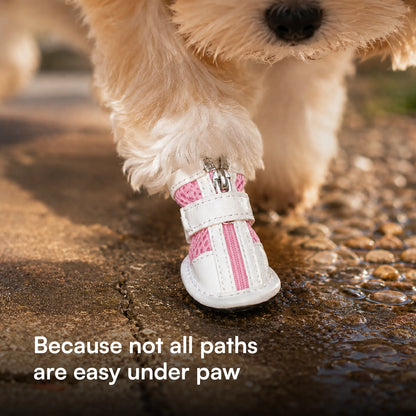 Zoomie Boots – Secure Fit with Zipper & Strap | All-Terrain Paw Safety