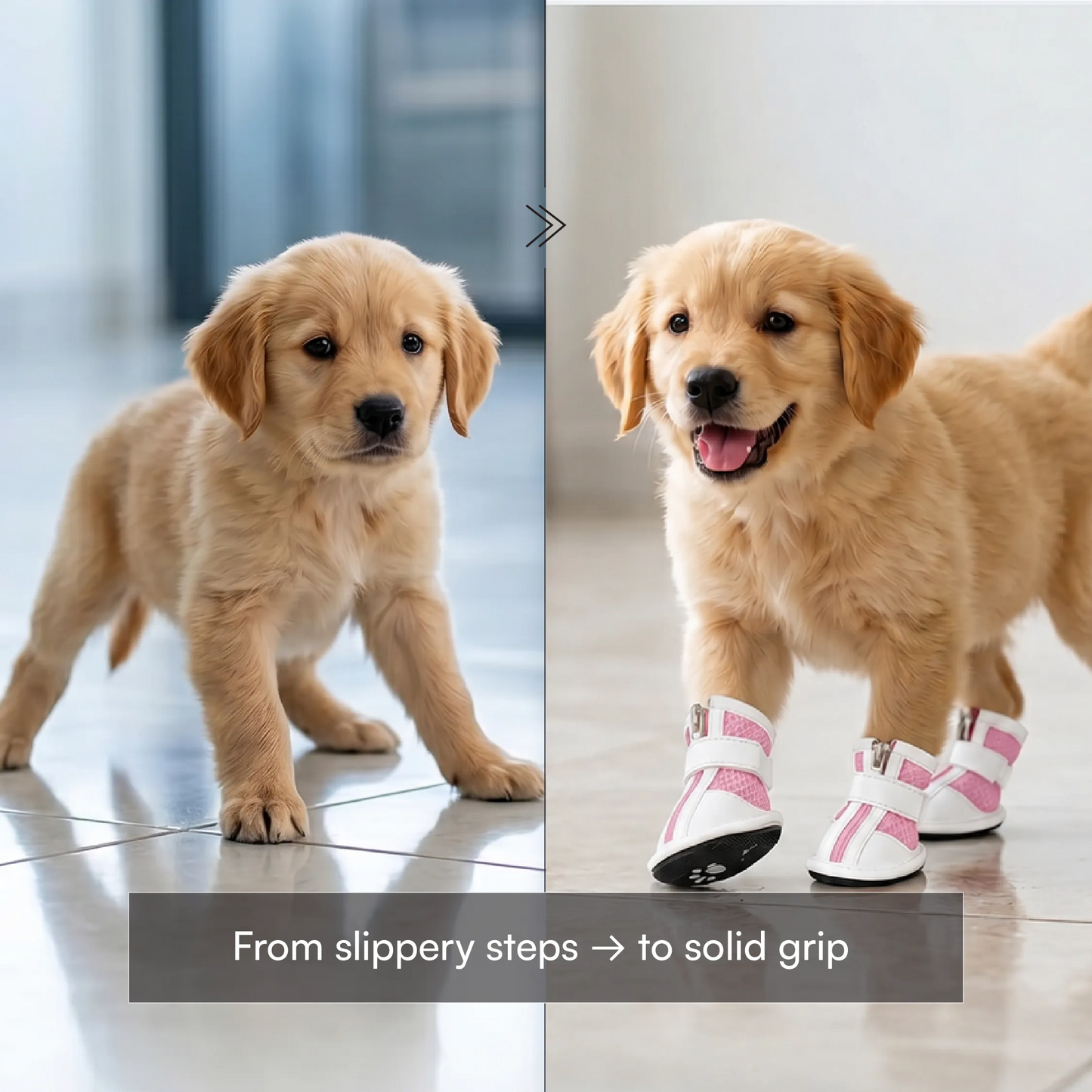 Zoomie Boots – Secure Fit with Zipper & Strap | All-Terrain Paw Safety