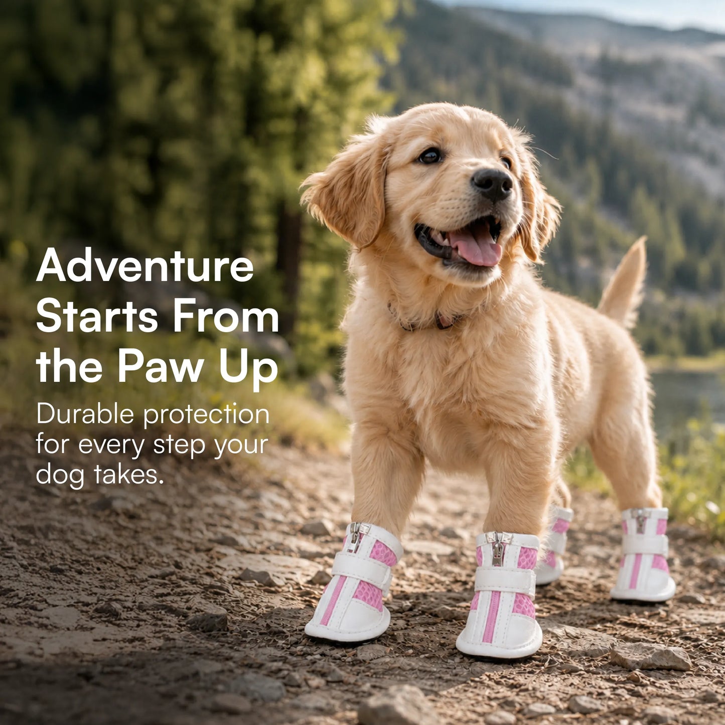 Zoomie Boots – Secure Fit with Zipper & Strap | All-Terrain Paw Safety