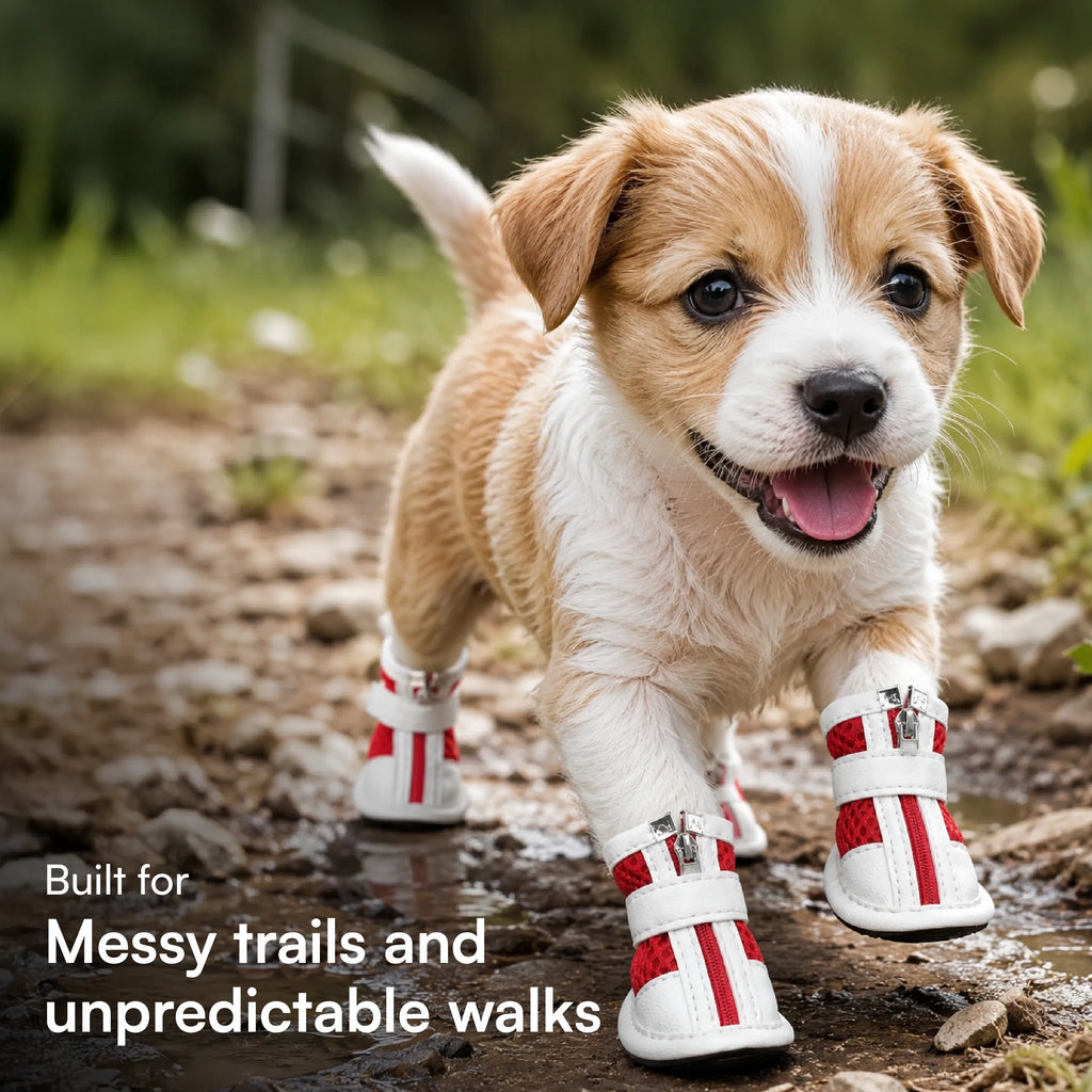 Zoomie Boots – Secure Fit with Zipper & Strap | All-Terrain Paw Safety
