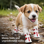 Zoomie Boots – Secure Fit with Zipper & Strap | All-Terrain Paw Safety