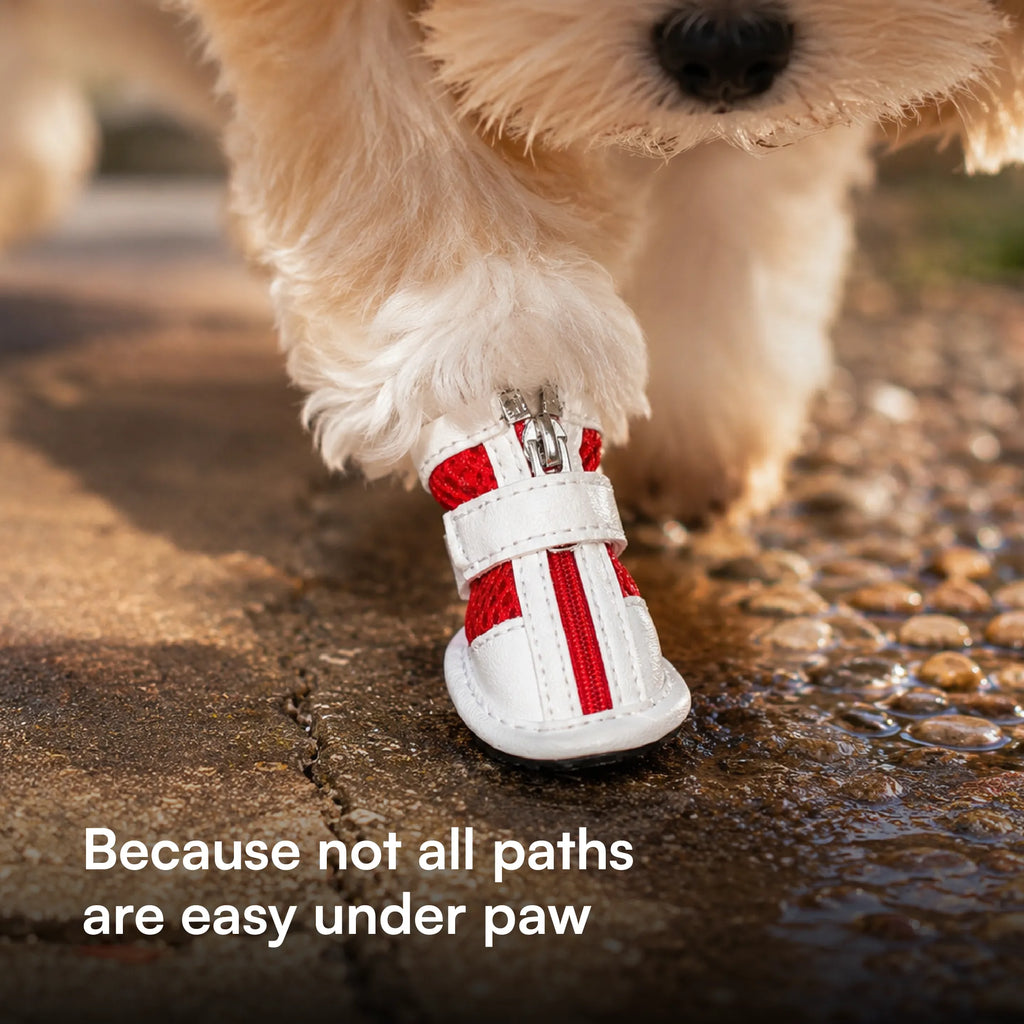 Zoomie Boots – Secure Fit with Zipper & Strap | All-Terrain Paw Safety