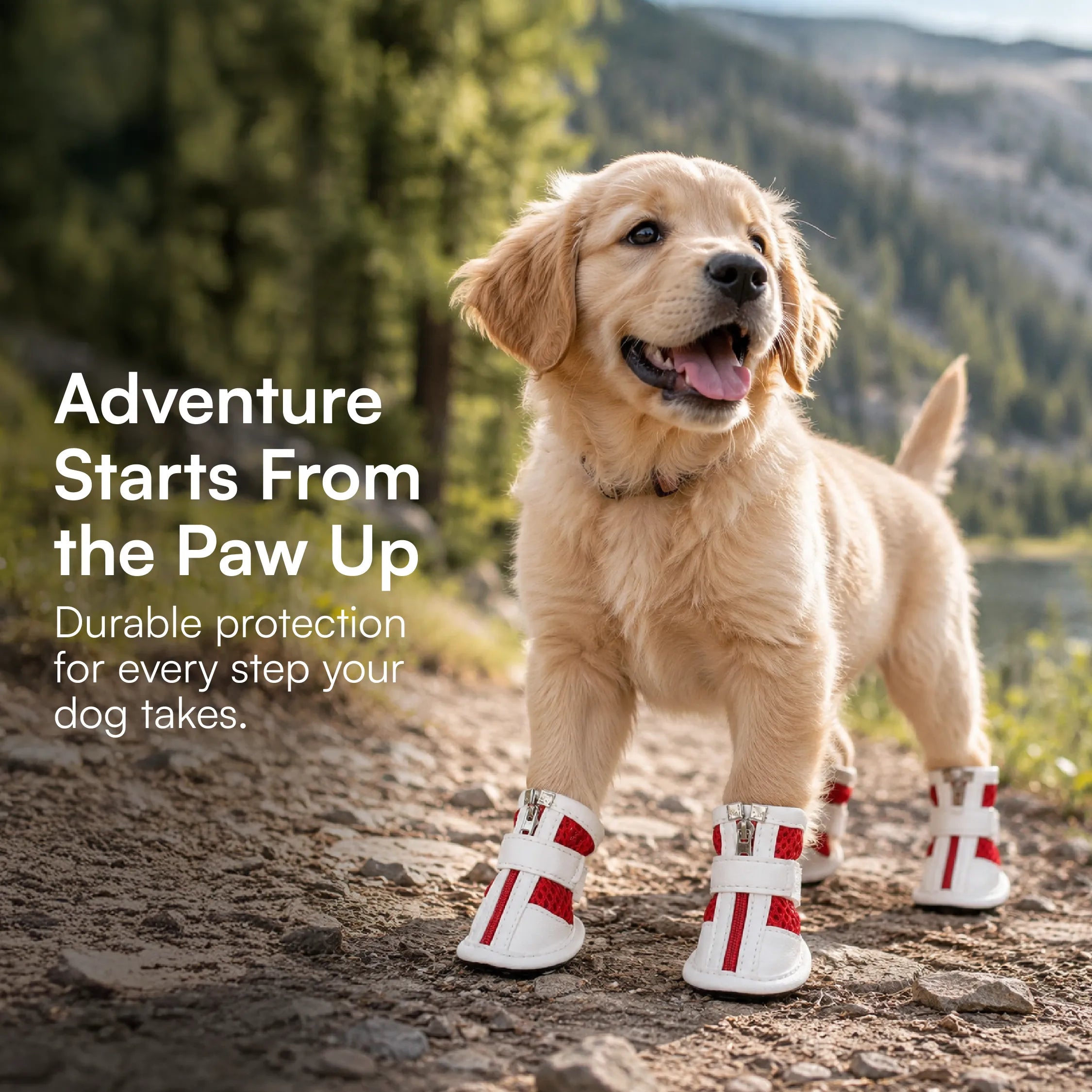 Zoomie Boots – Secure Fit with Zipper & Strap | All-Terrain Paw Safety