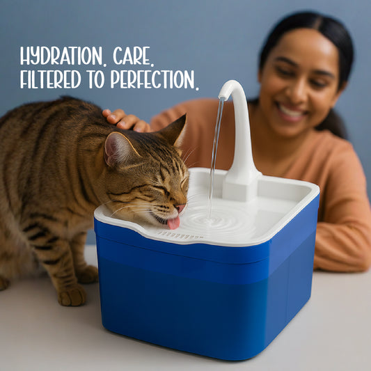 AquaGlow Fountain | Smart Water Dispenser | Designed for Cats & Small Dogs