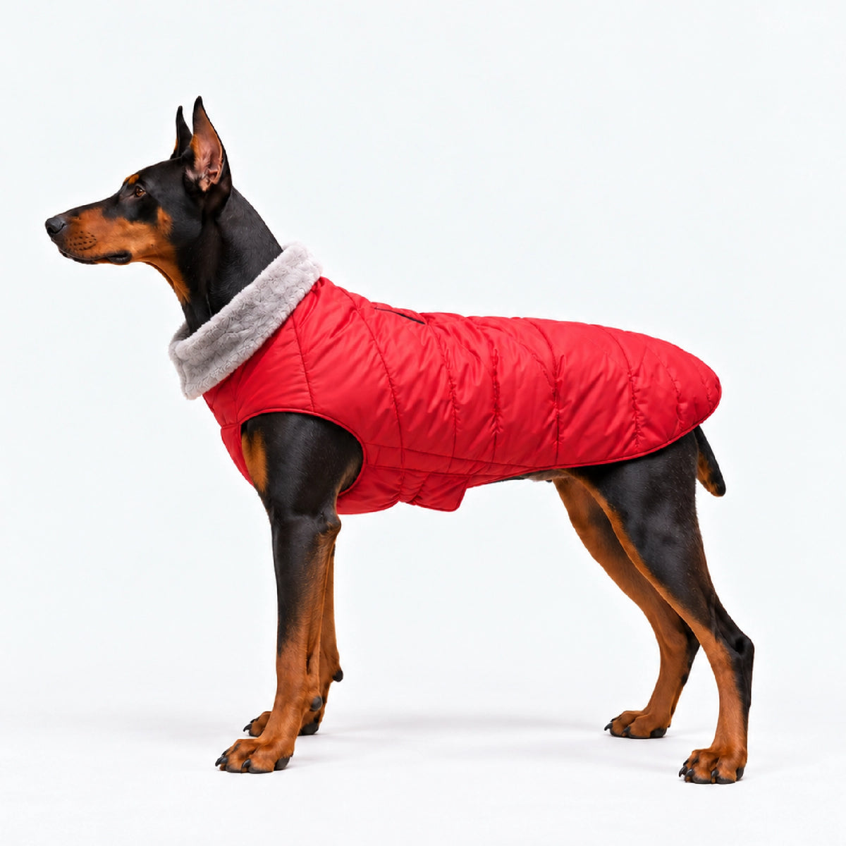 ArcticFunk Jacket
