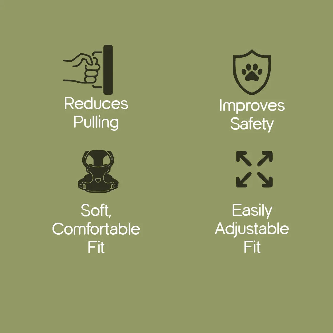 ArmorFit Harness – No-Pull Dog Harness for Strong, Safe Walks - Tilting Heads