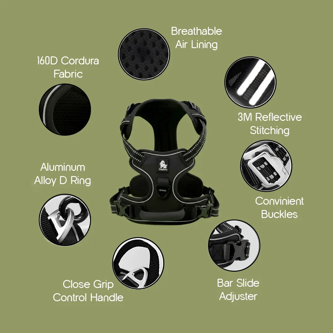 ArmorFit Harness – No-Pull Dog Harness for Strong, Safe Walks - Tilting Heads