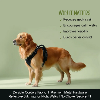 ArmorFit Harness – No-Pull Dog Harness for Strong, Safe Walks - Tilting Heads