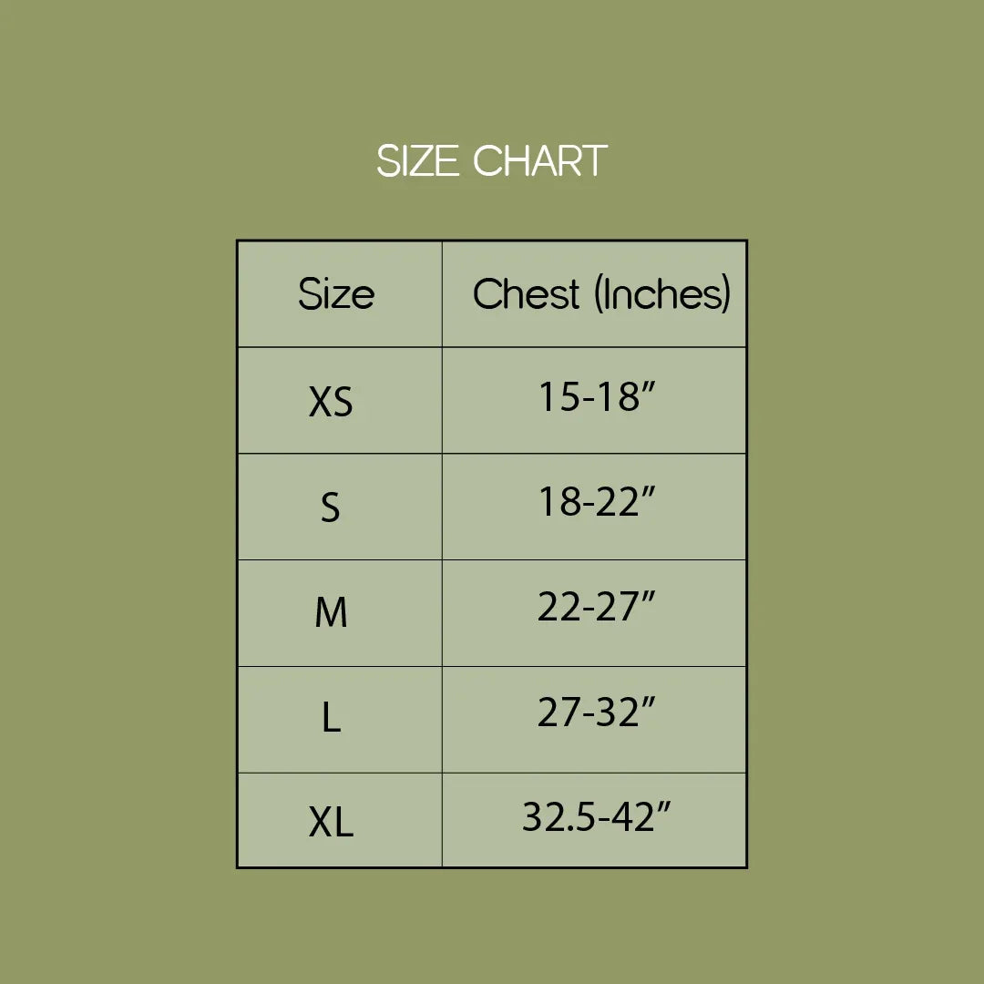 ArmorFit Harness – No-Pull Dog Harness for Strong, Safe Walks - Tilting Heads