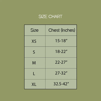 ArmorFit Harness – No-Pull Dog Harness for Strong, Safe Walks - Tilting Heads