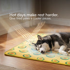 AvoCool Mat – Self-Cooling Gel Mat for Dogs & Cats