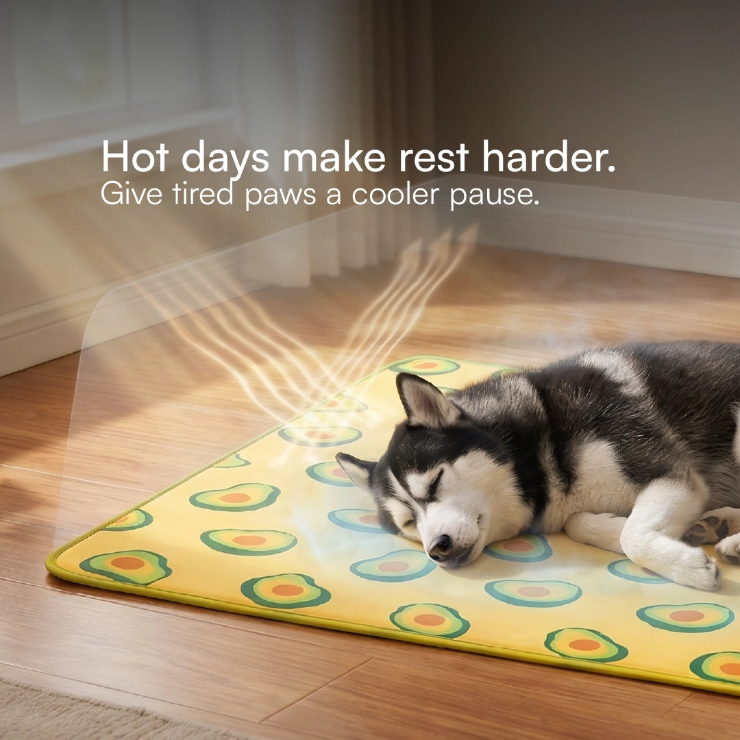 AvoCool Mat – Self-Cooling Gel Mat for Dogs & Cats