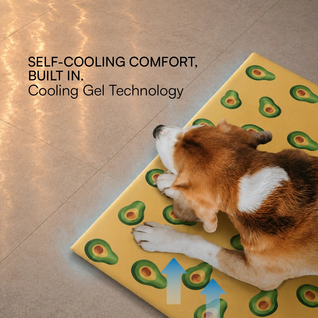 AvoCool Mat – Self-Cooling Gel Mat for Dogs & Cats
