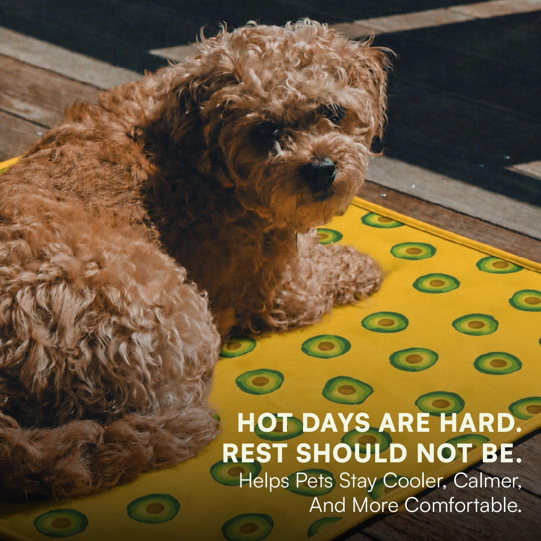 AvoCool Mat – Self-Cooling Gel Mat for Dogs & Cats