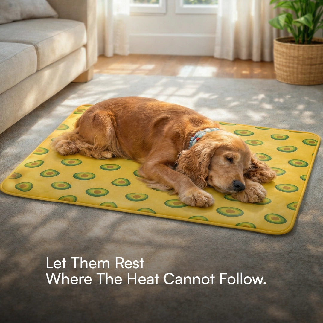 AvoCool Mat – Self-Cooling Gel Mat for Dogs & Cats