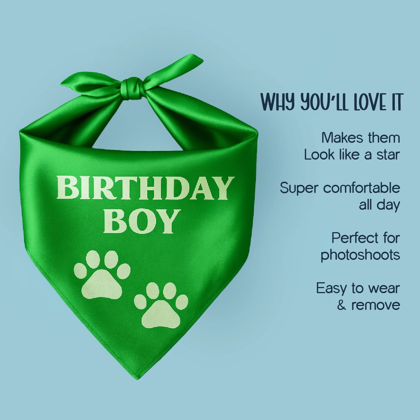 Birthday Bling Bandana – Soft, Stylish & Perfect for Celebration Pics