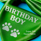 Birthday Bling Bandana – Soft, Stylish & Perfect for Celebration Pics - Tilting Heads