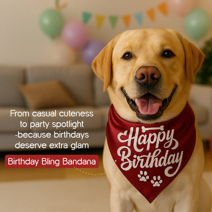 Birthday Bling Bandana – Soft, Stylish & Perfect for Celebration Pics
