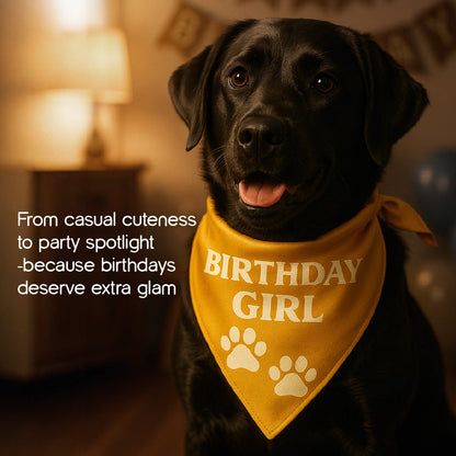 Birthday Bling Bandana – Soft, Stylish & Perfect for Celebration Pics