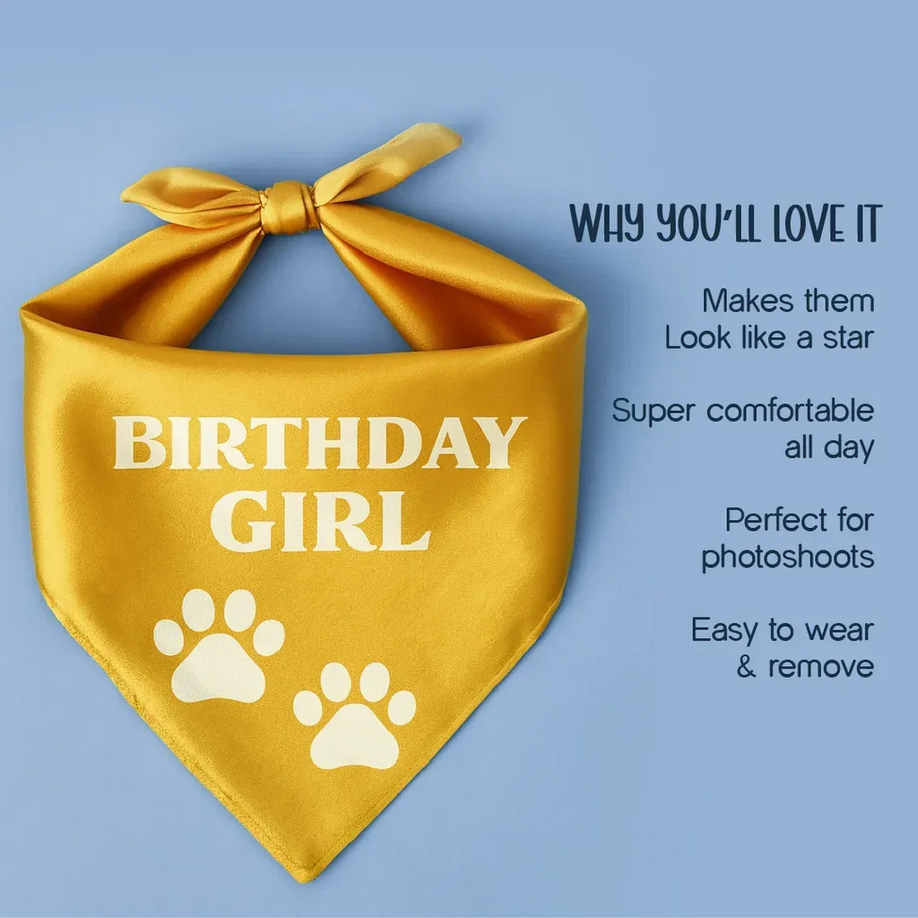 Birthday Bling Bandana – Soft, Stylish & Perfect for Celebration Pics - Tilting Heads
