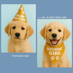 Birthday Bling Bandana – Soft, Stylish & Perfect for Celebration Pics - Tilting Heads
