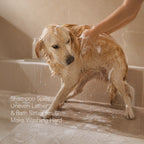 BathEase Brush – 2-in-1 Bath Brush & Shampoo Dispenser | Includes Tick & Flea Shampoo(500ml)