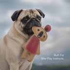 KoalaChew Jute Bite-Play Toy With Squeaker For Dogs & Cats