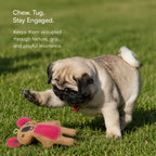 KoalaChew Jute Bite-Play Toy With Squeaker For Dogs & Cats