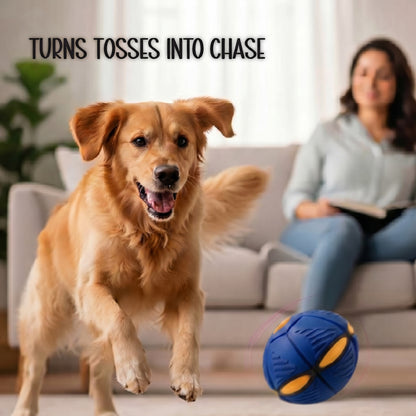 FetchNova UFO Ball | Bounce-Spin Toy | Smart Play for Active Dogs