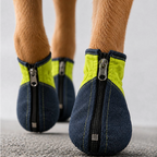 BlueJay Sneaks