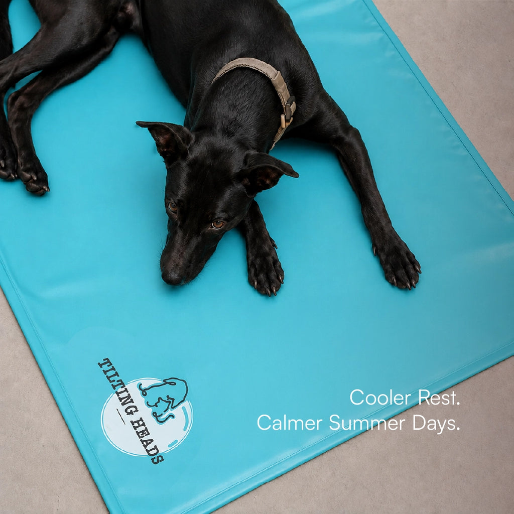 BlueBreeze Mat | Cooling Foldable Summer Rest Mat for Pets