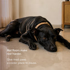 BlueBreeze Mat | Cooling Foldable Summer Rest Mat for Pets