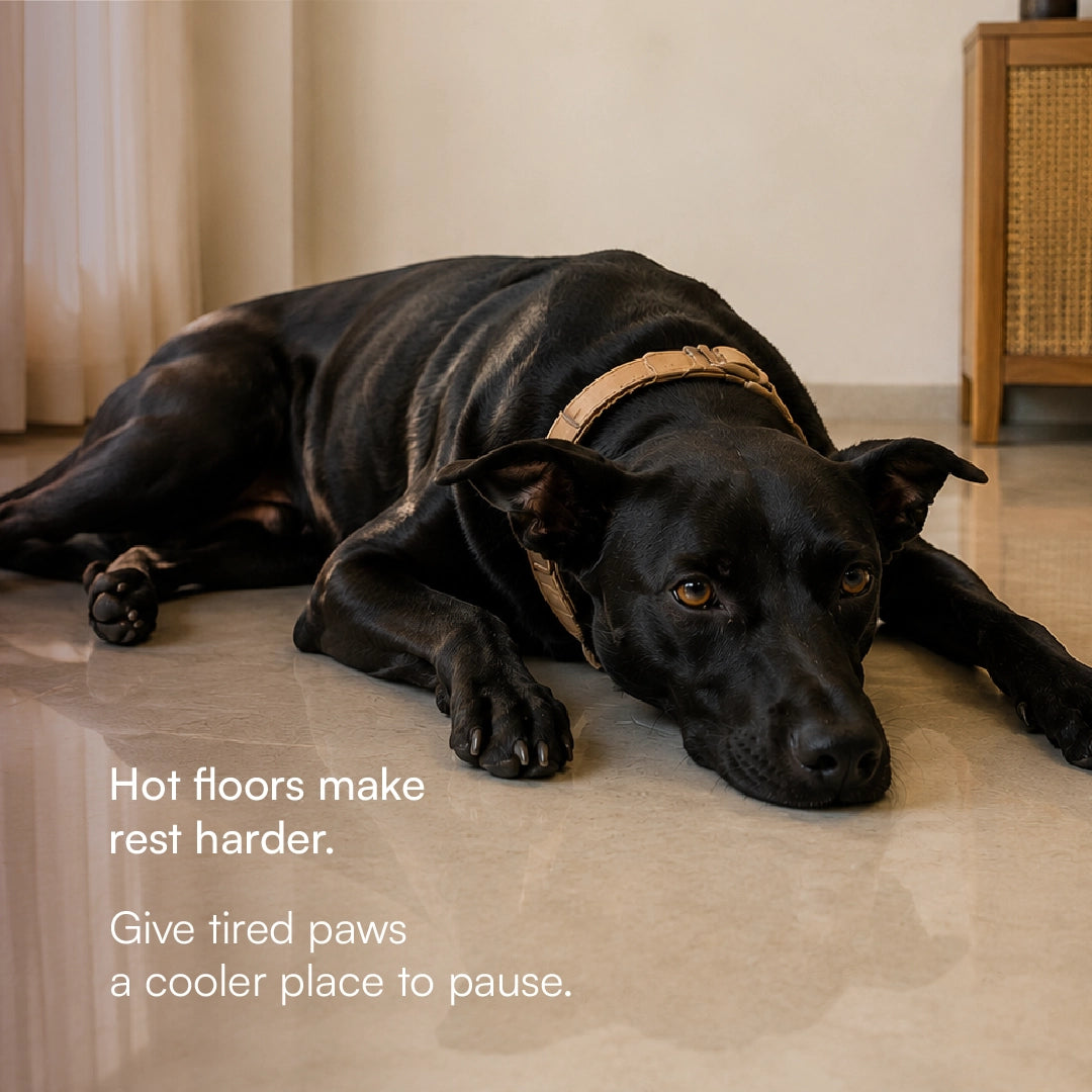 BlueBreeze Mat | Cooling Foldable Summer Rest Mat for Pets
