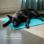 BlueBreeze Mat | Cooling Foldable Summer Rest Mat for Pets