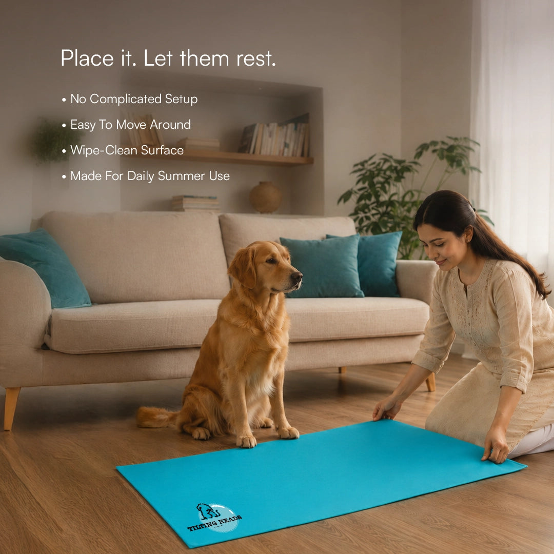 BlueBreeze Mat | Cooling Foldable Summer Rest Mat for Pets
