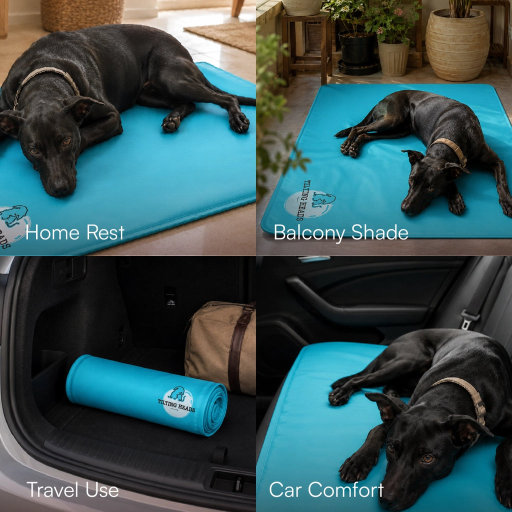 BlueBreeze Mat | Cooling Foldable Summer Rest Mat for Pets