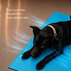 BlueBreeze Mat | Cooling Foldable Summer Rest Mat for Pets