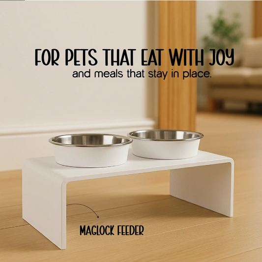 MagLock Feeder – Sleek, Stable & Spill-Free Design