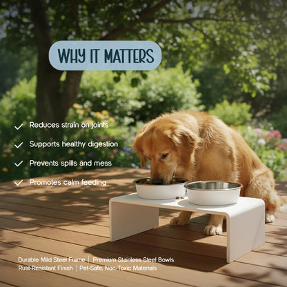MagLock Feeder – Sleek, Stable & Spill-Free Design