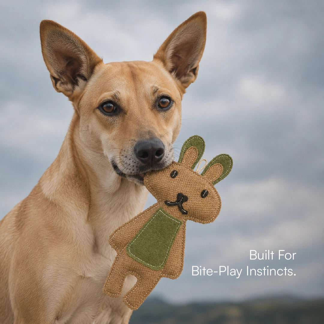 BunnyChew Jute Bite-Play Toy With Squeaker For Dogs & Cats